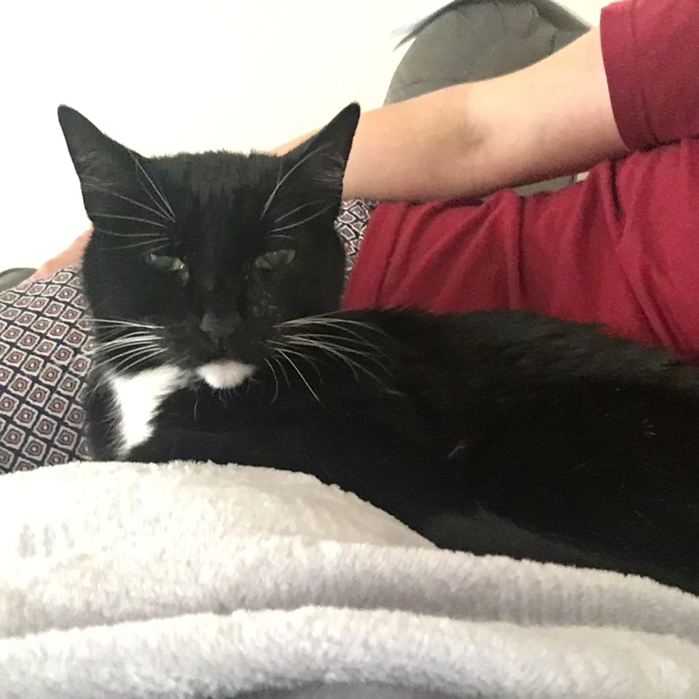 Meet your Posher, Ashley